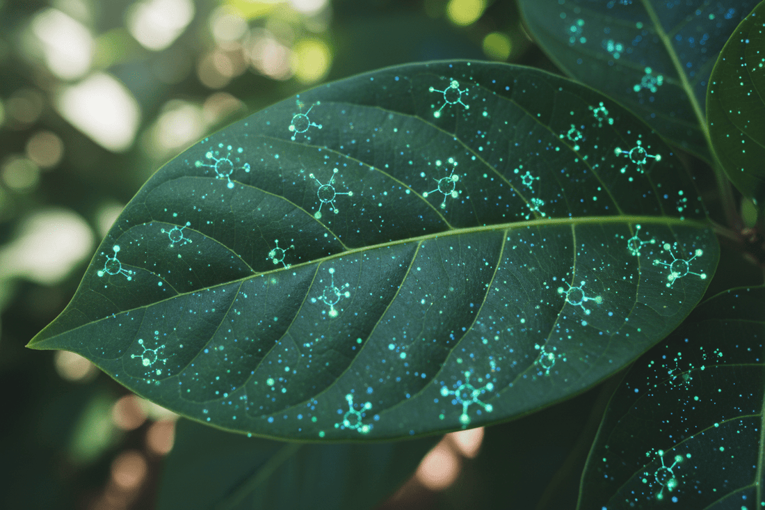 Healthy green leaf with bright molecules 