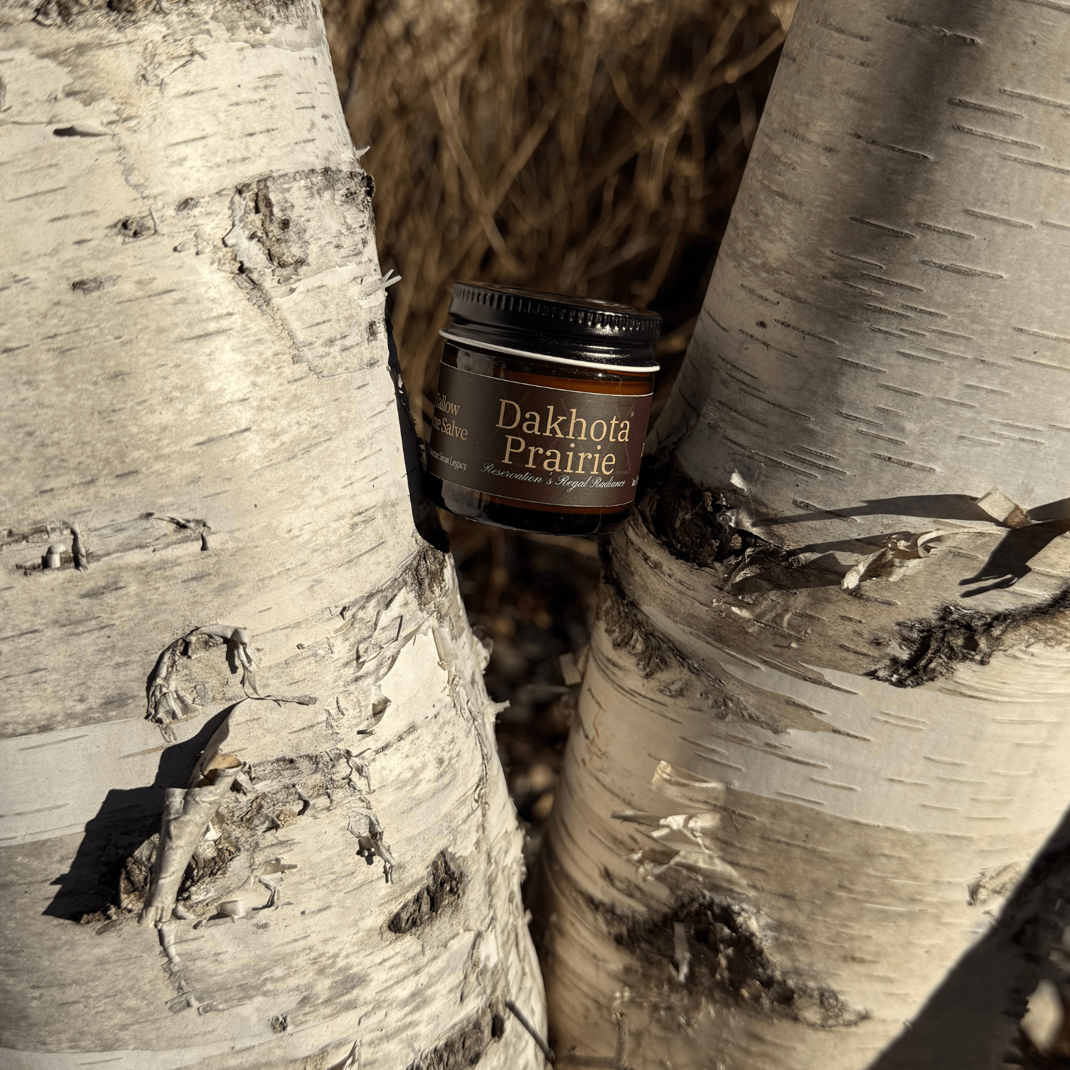 Discovery Tallow Salve held in between two birch trees outside.