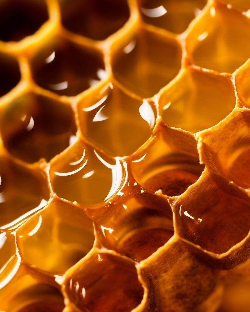 Organic Beeswax